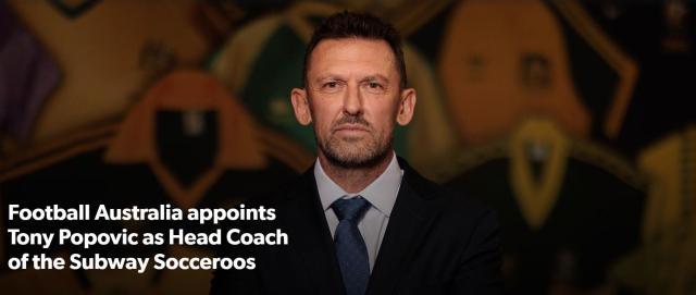 波波维奇出任澳大利亚主帅 首秀对阵中国男足