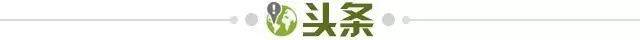bwin-【早报】中国足球，等待戈多...